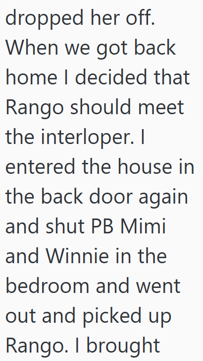 dropped her off. When we got back home I decided that Rango should meet the interloper. I entered the house in the back door again and shut PB Mimi and Winnie in the bedroom and went out and picked up Rango. I brought