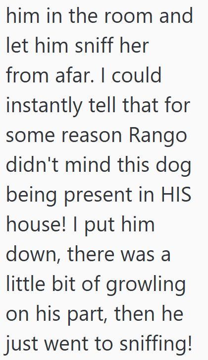 him in the room and let him sniff her from afar. I could instantly tell that for some reason Rango didn't mind this dog being present in HIS house! I put him down, there was a little bit of growling on his part, then he just went to sniffing!