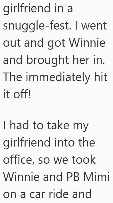 girlfriend in a snuggle-fest. I went out and got Winnie and brought her in. The immediately hit it off! I had to take my girlfriend into the office, so we took Winnie and PB Mimi on a car ride and