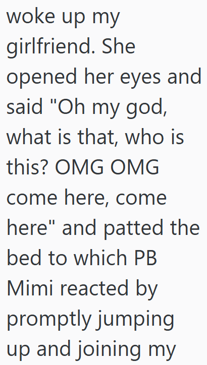 woke up my girlfriend. She opened her eyes and said "Oh my god, what is that, who is this? OMG OMG come here, come here" and patted the bed to which PB Mimi reacted by promptly jumping up and joining my