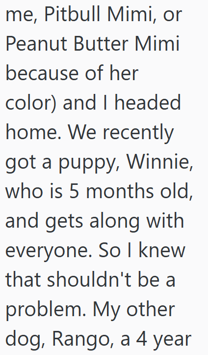 me, Pitbull Mimi, or Peanut Butter Mimi because of her color) and I headed home. We recently got a puppy, Winnie, who is 5 months old, and gets along with everyone. So I knew that shouldn't be a problem. My other dog, Rango, a 4 year