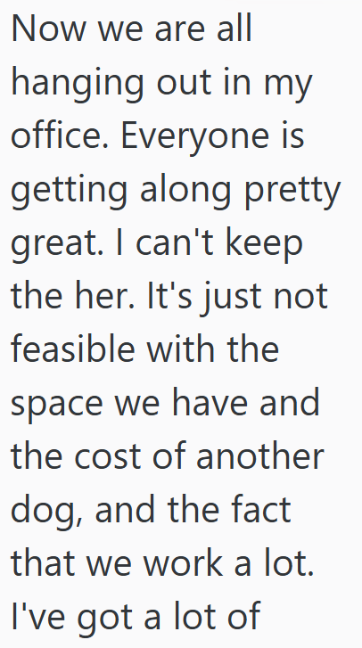 Now we are all hanging out in my office. Everyone is getting along pretty great. I can't keep the her. It's just not feasible with the space we have and the cost of another dog, and the fact that we work a lot. I've got a lot of