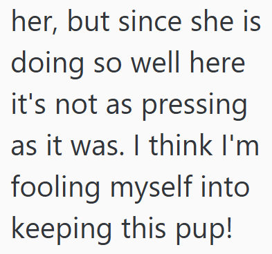 her, but since she is doing so well here it's not as pressing as it was. I think I'm fooling myself into keeping this pup!