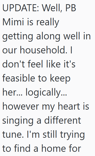 UPDATE: Well, PB Mimi is really getting along well in our household. I don't feel like it's feasible to keep her... logically... however my heart is singing a different tune. I'm still trying to find a home for