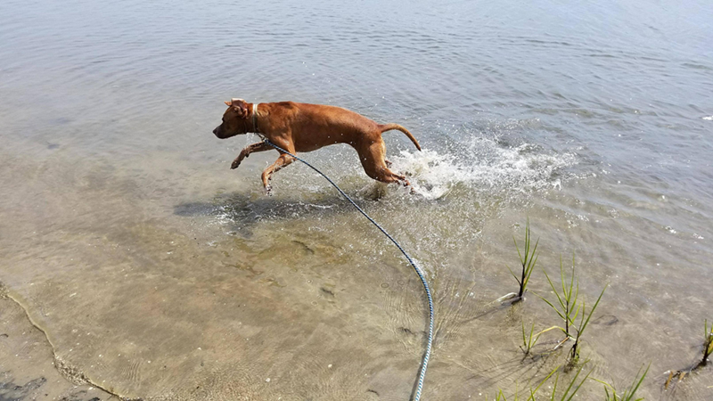 Cheezburger Image 10614704896