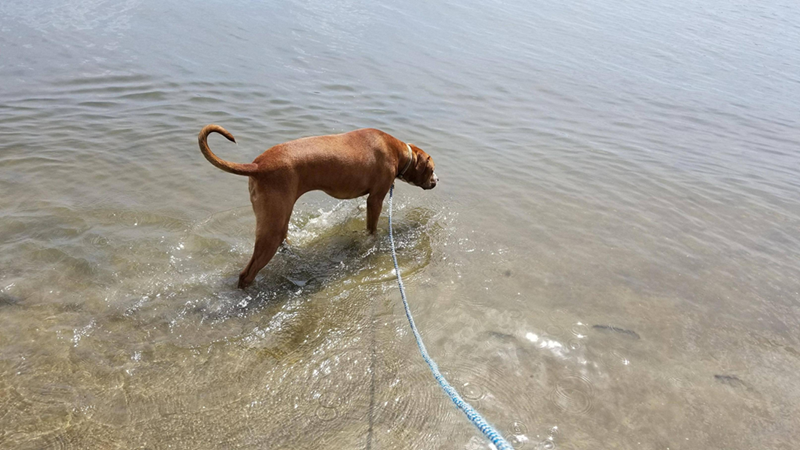 Cheezburger Image 10614705152