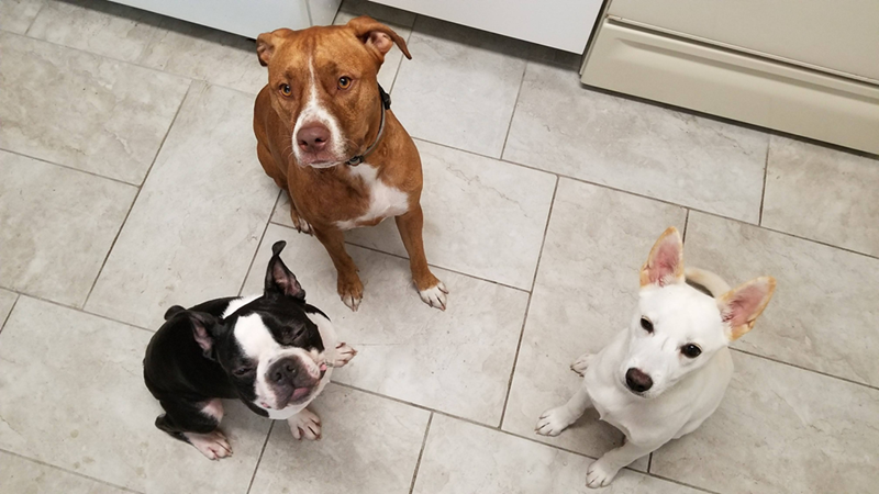 Cheezburger Image 10614705408