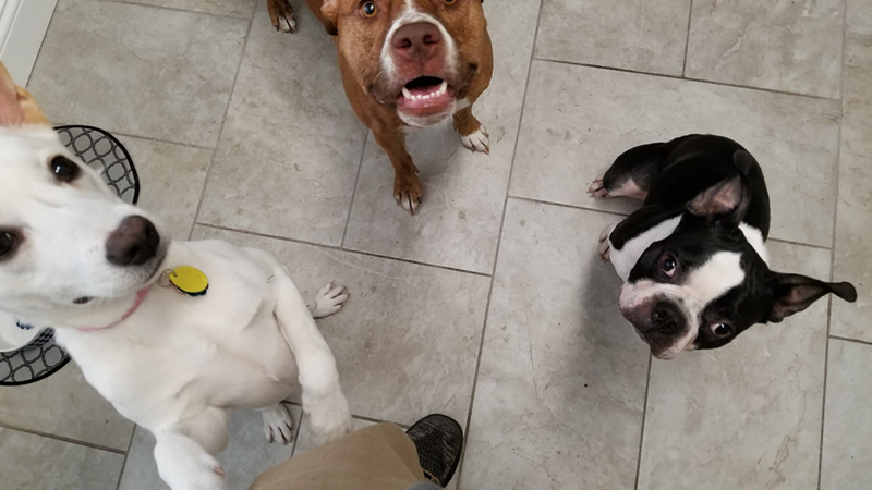 Cheezburger Image 10614705664