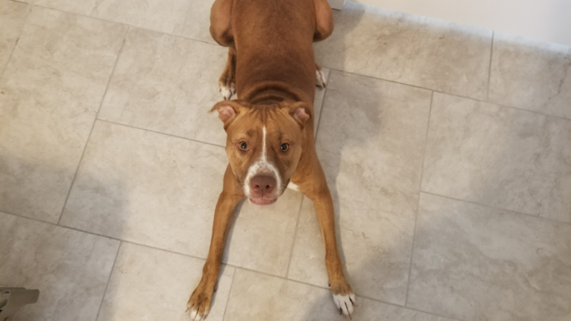 Cheezburger Image 10614705920