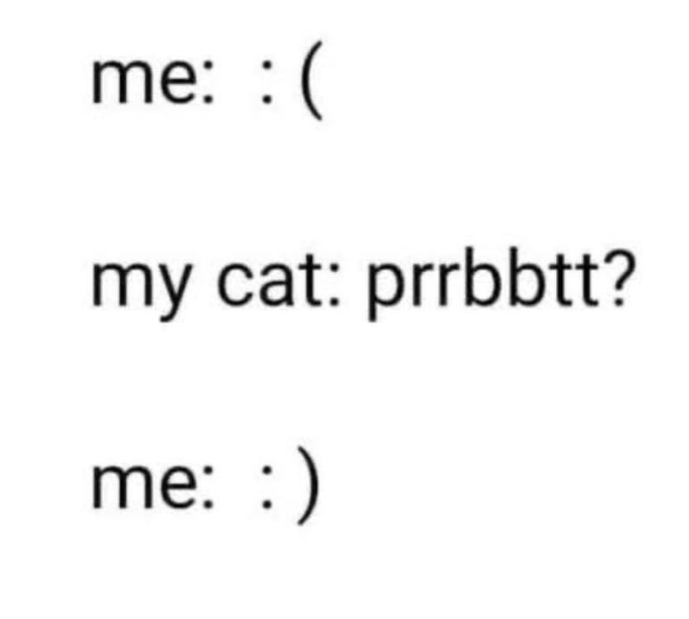 me: : ( my cat: prrbbtt? me: :)