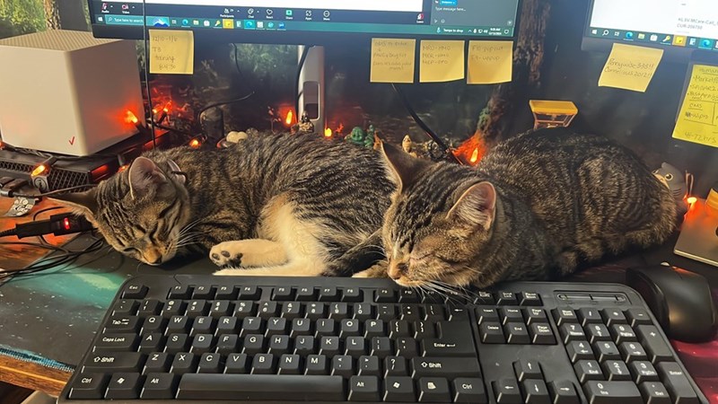 Ctrl Po search B 12/10-116 T3 training 8430 W E R Tab S D F Caps Lock C Shift B N M T PR KLSVMCare Call CUR 206750 OMS nordoc 4 AND MRO-HMO MER-HMO F10 popout Fa-uppup MEP-DPO Enter- Shift Ctri Delete Bonywise 333!! Cornelious 2012!! Human Marketf ·SADARZ CMS -Wipro 48-72hrs