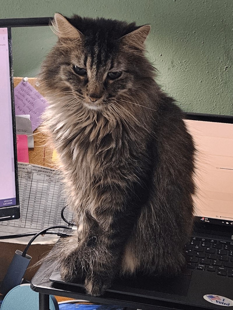 marks Dhs Com-inte -applications -South dakota. monthly report by th 18966 1039 AM 1/17/2025 LIENT AND AGENCY T COMME NITY AGE FERN LIVING AL LIVING 343 21 309 373 310 394 23 513 609 24 316 430 25 347 411 ¼ 530 441 31P 27 412 924 825 661 523 T 66 524 722 3 NO 311 PUF 523 " 335 33 334 134 409 134 924 243 07 334 " 41 $16 " PLA ME 916 " 44 $1 " 524 521 134 135 224 114 314 NO NE Voted