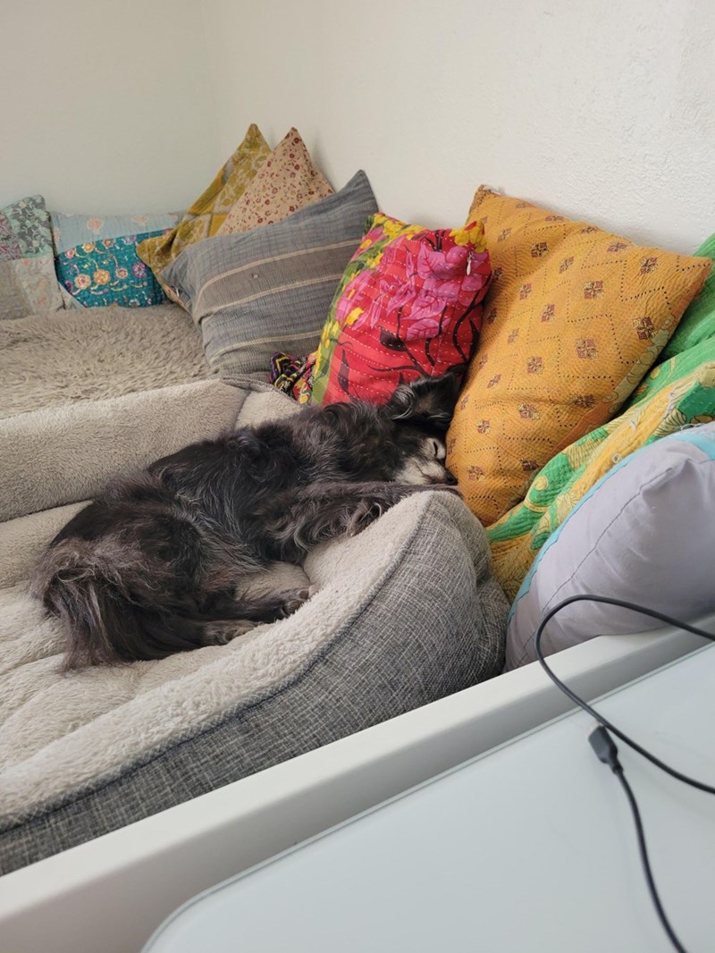 Cheezburger Image 10614711040