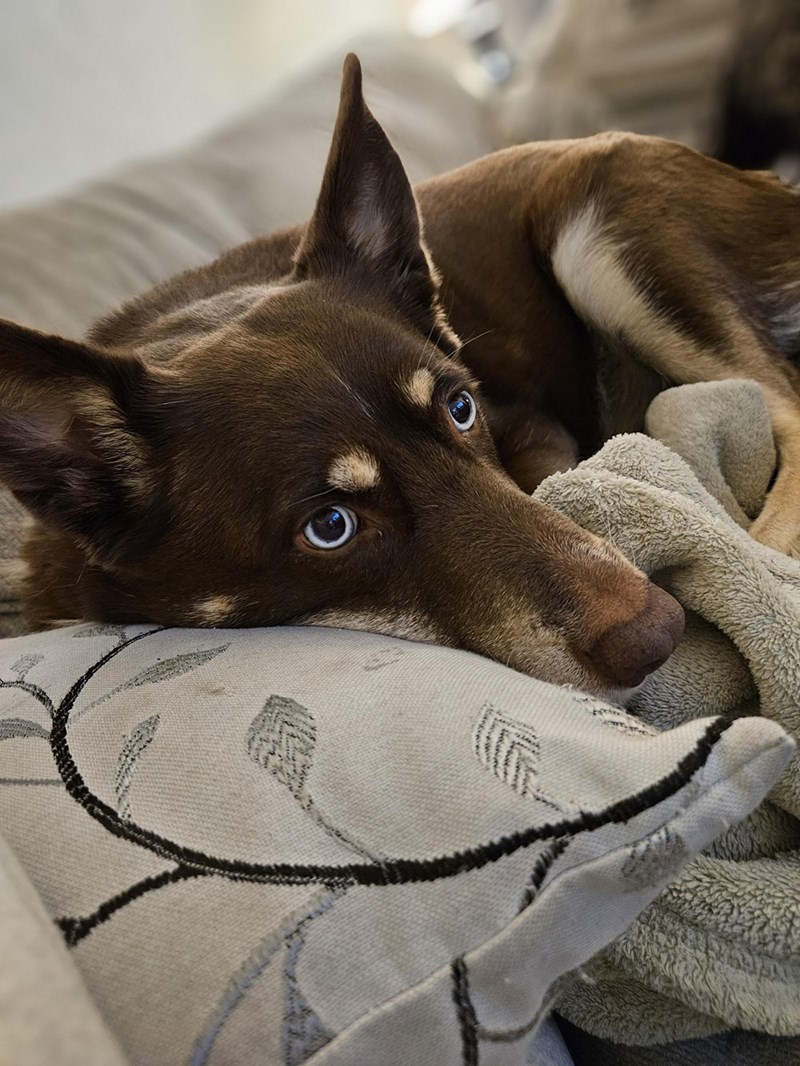 Cheezburger Image 10614711552