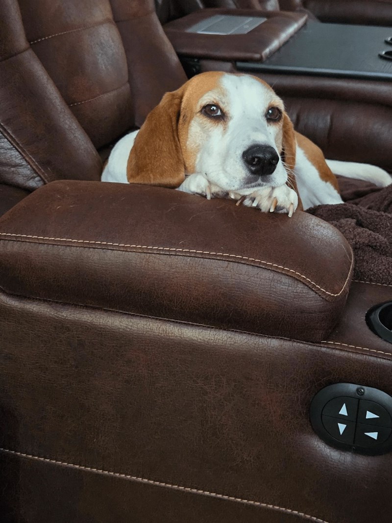 Cheezburger Image 10614711808