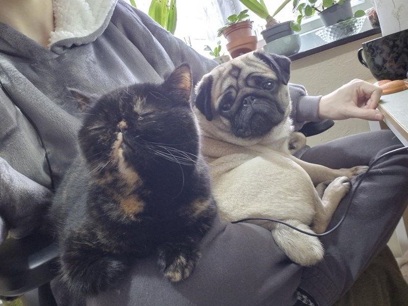 Cheezburger Image 10614712576