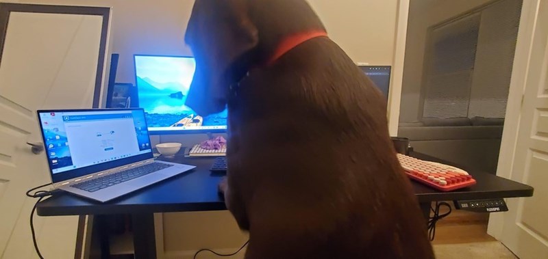 Cheezburger Image 10614713600