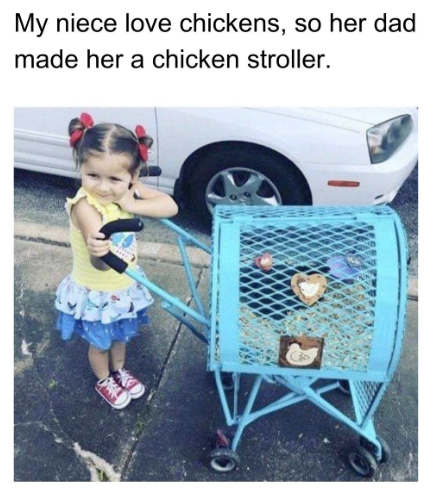 My niece love chickens, so her dad made her a chicken stroller.