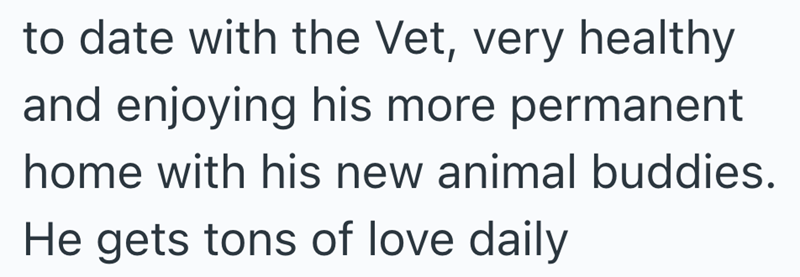 to date with the Vet, very healthy and enjoying his more permanent home with his new animal buddies. He gets tons of love daily