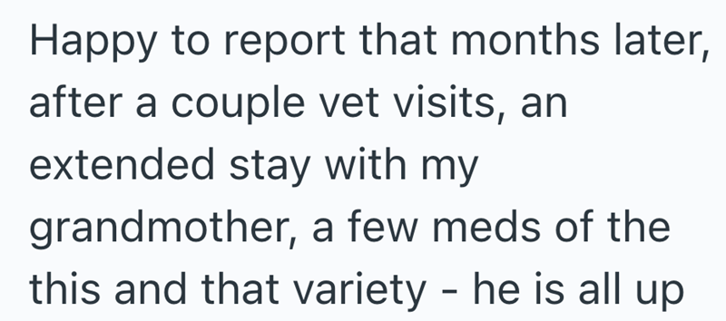 Happy to report that months later, after a couple vet visits, an extended stay with my grandmother, a few meds of the this and that variety - he is all up
