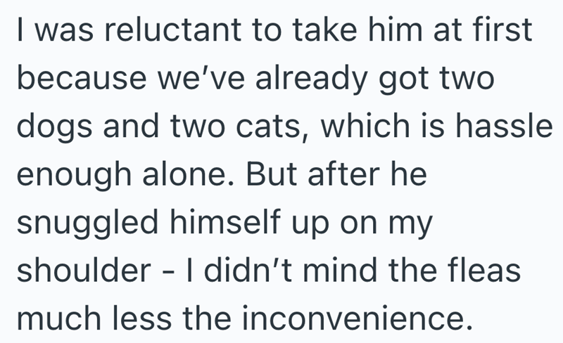 I was reluctant to take him at first because we've already got two dogs and two cats, which is hassle enough alone. But after he snuggled himself up on my shoulder I didn't mind the fleas - much less the inconvenience.