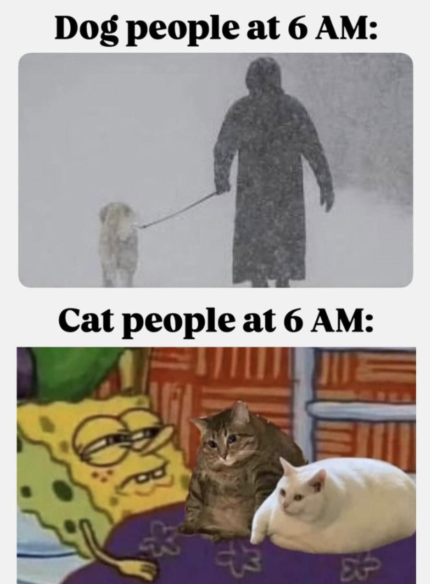 Dog people at 6 AM: Cat people at 6 AM: