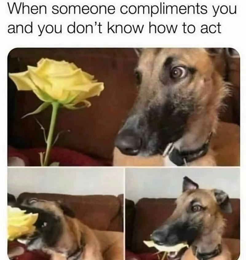 When someone compliments you and you don't know how to act