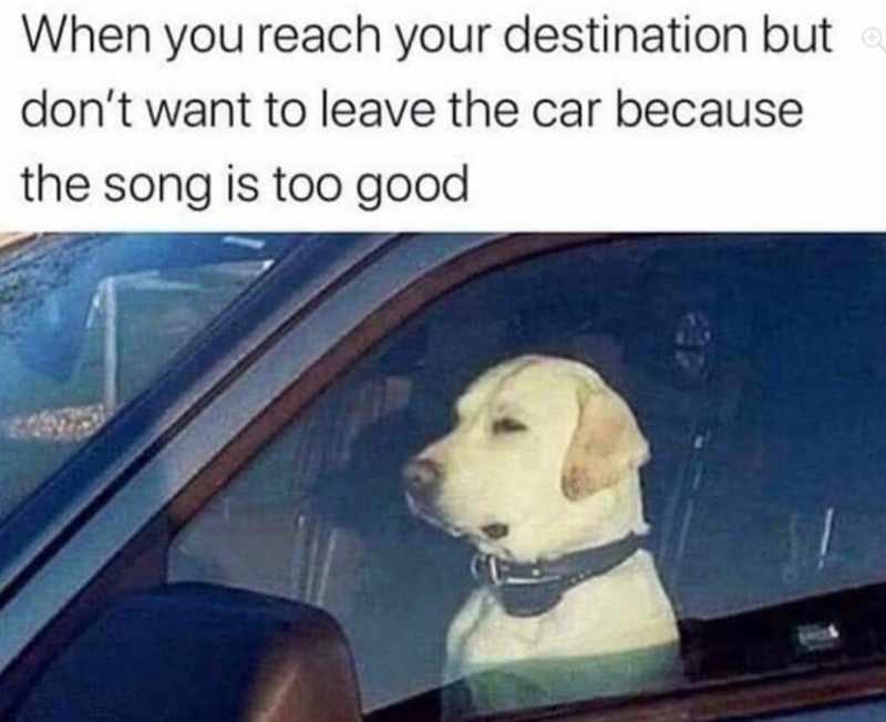 When you reach your destination but don't want to leave the car because the song is too good