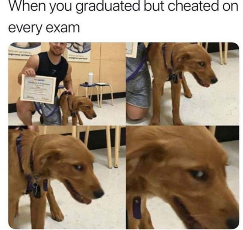 When you graduated but cheated on every exam
