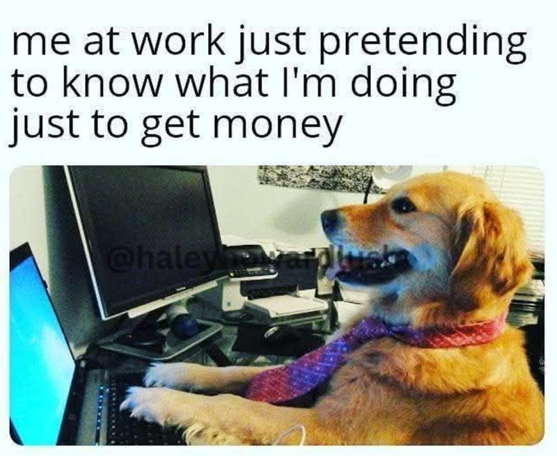 me at work just pretending to know what I'm doing just to get money @haley