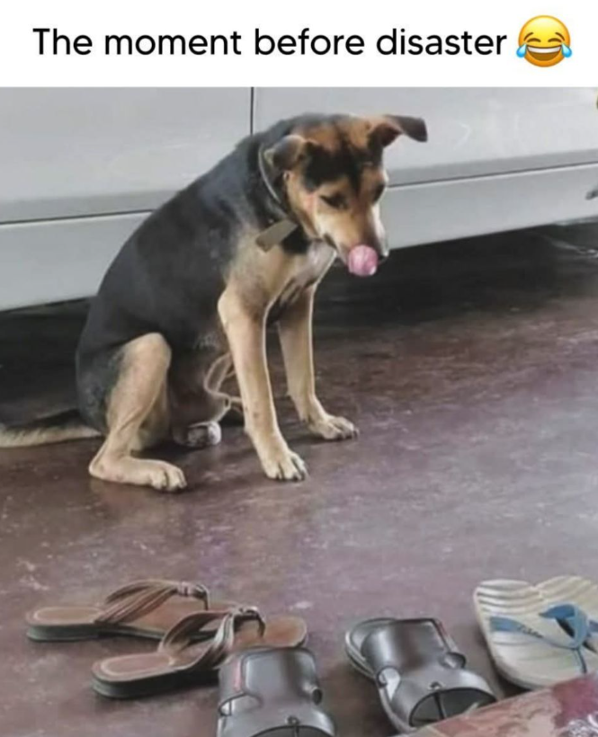 The moment before disaster C