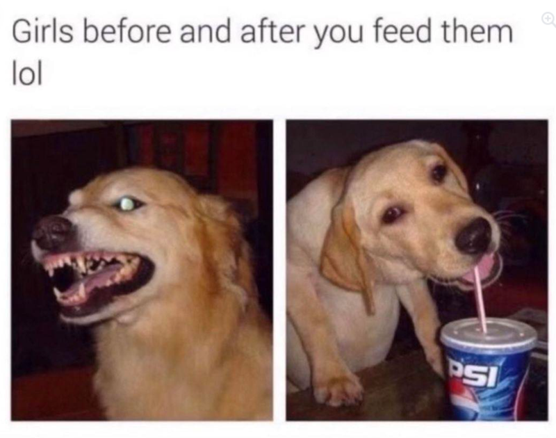 Girls before and after you feed them lol DSI