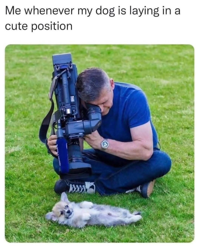 Me whenever my dog is laying in a cute position