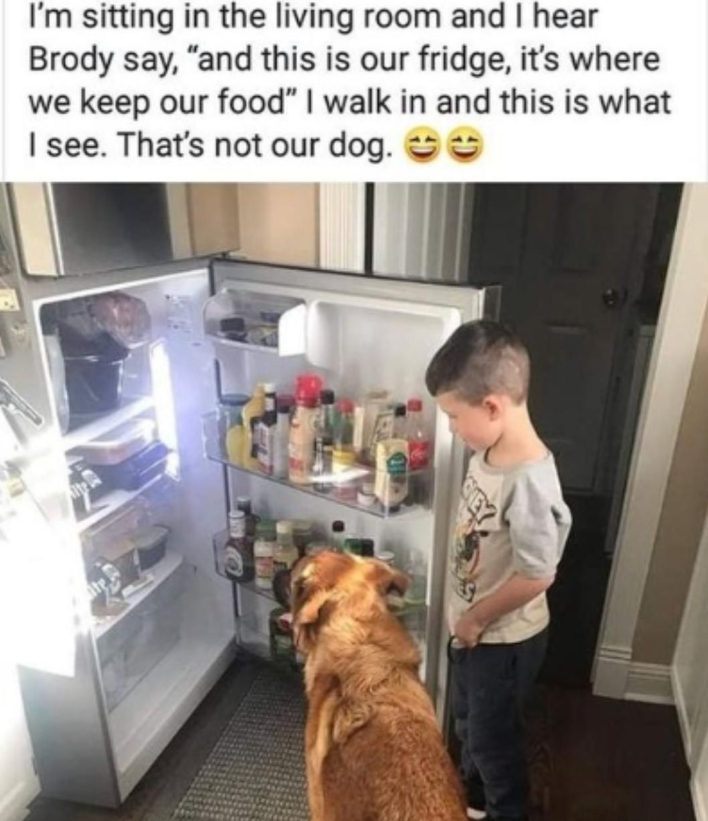 ite Alte I'm sitting in the living room and I hear Brody say, "and this is our fridge, it's where we keep our food" I walk in and this is what I see. That's not our dog. ☺☺