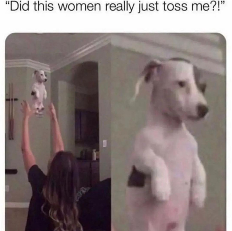 "Did this women really just toss me?!"
