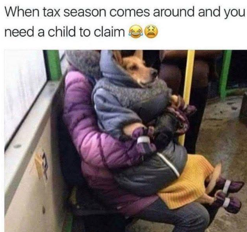When tax season comes around and you need a child to claim