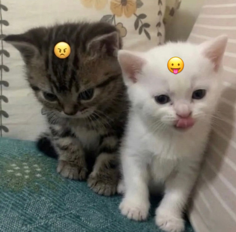 Cheezburger Image 10614729472