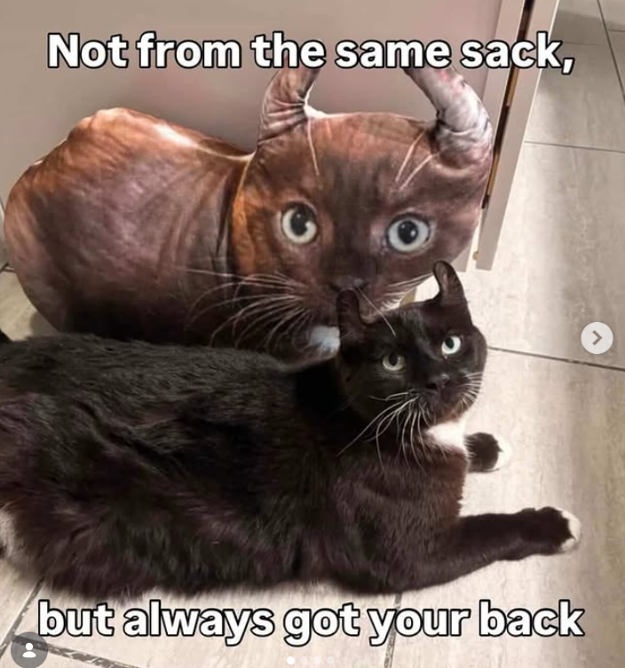 Not from the same sack, but always got your back