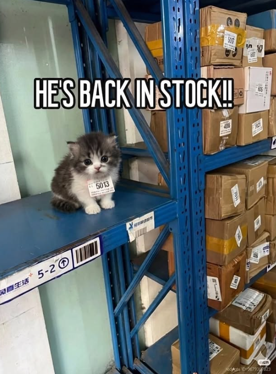 HE'S BACK IN STOCK!! 農生活5-2⑦ 5013 SO V Jede 1056792823