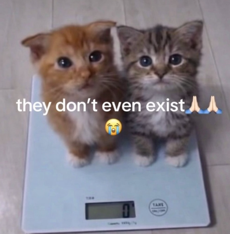 they don't even exist A TANE