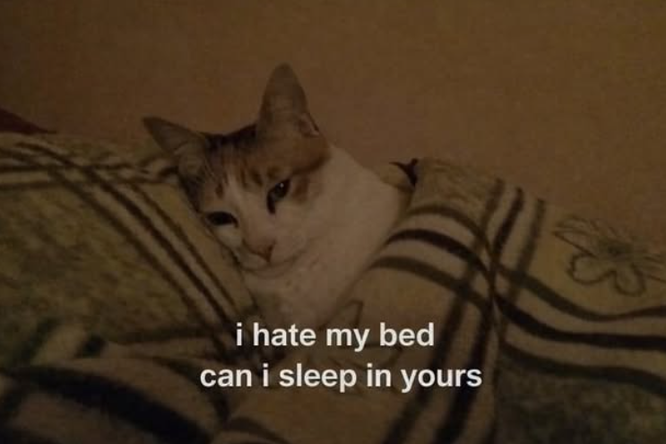 i hate my bed can i sleep in yours