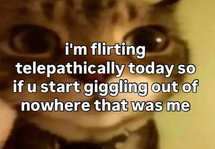 i'm flirting telepathically today so if u start giggling out of nowhere that was me