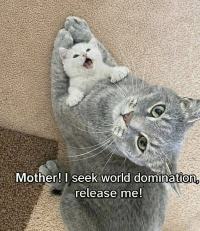 Mother! I seek world domination, release me!