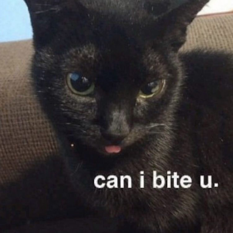 can i bite u.