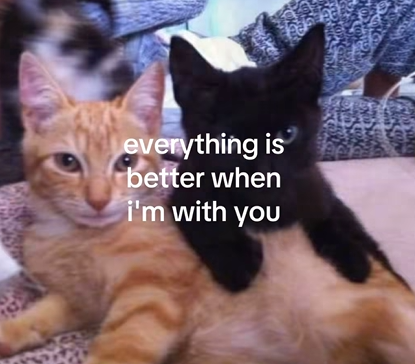 everything is better when i'm with you