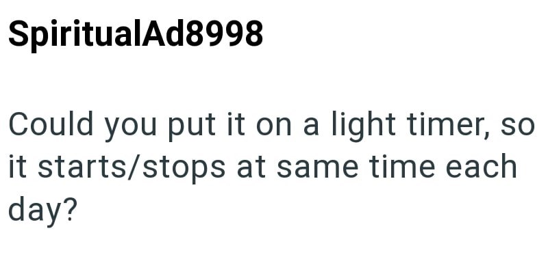 SpiritualAd8998 Could you put it on a light timer, so it starts/stops at same time each day?