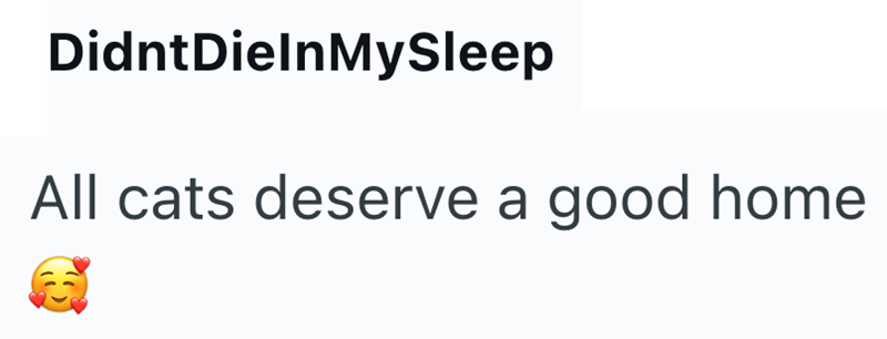 DidntDielnMySleep All cats deserve a good home