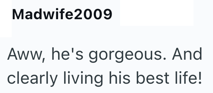 Madwife2009 Aww, he's gorgeous. And clearly living his best life!