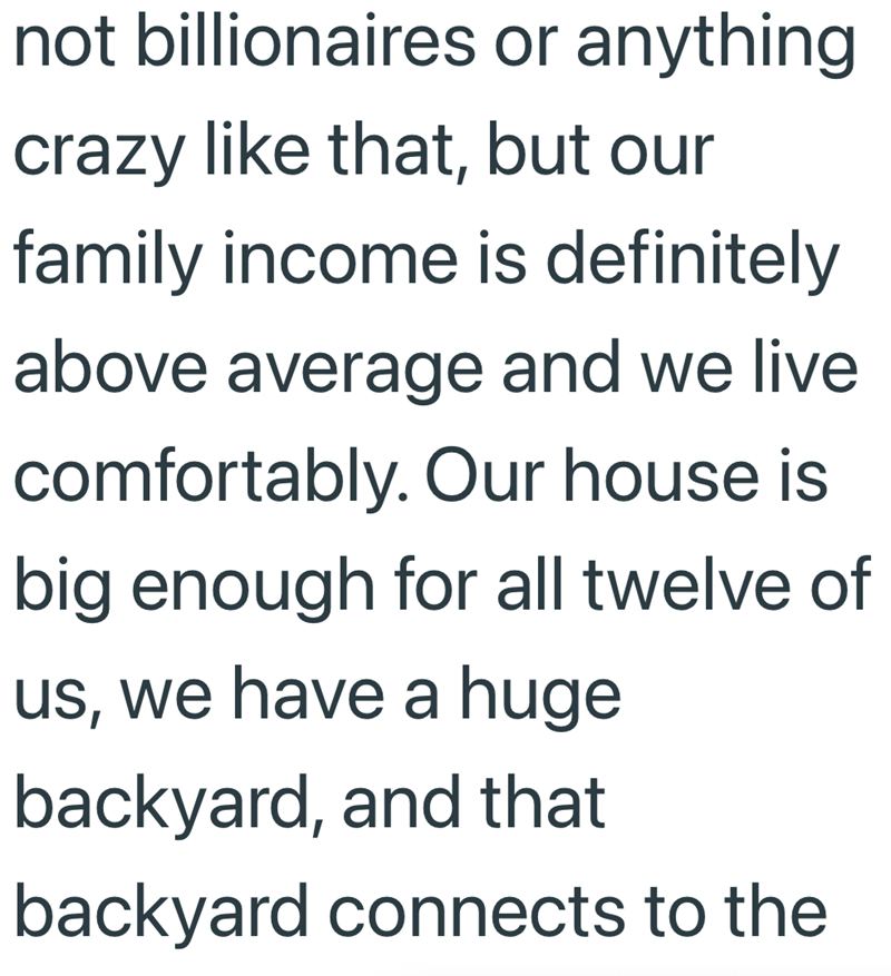 not billionaires or anything crazy like that, but our family income is definitely above average and we live comfortably. Our house is big enough for all twelve of us, we have a huge backyard, and that backyard connects to the