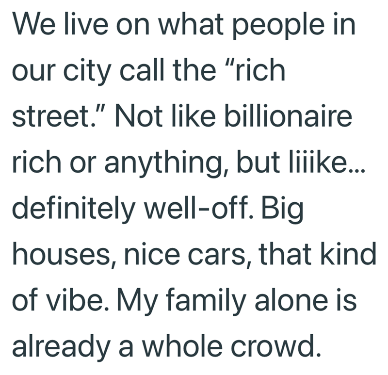 We live on what people in our city call the "rich street." Not like billionaire rich or anything, but liiike... definitely well-off. Big houses, nice cars, that kind of vibe. My family alone is already a whole crowd.